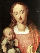 Albrecht Durer Madonna and Child with the Pear Sweden oil painting artist